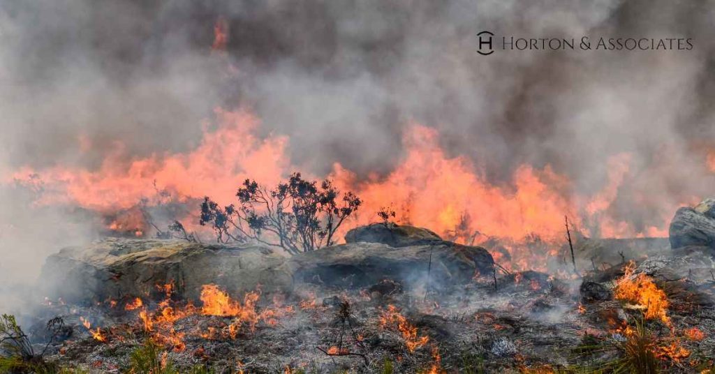 Wildfire Preparedness in Evergreen: Insurance Coverage for Safeguarding Your Property